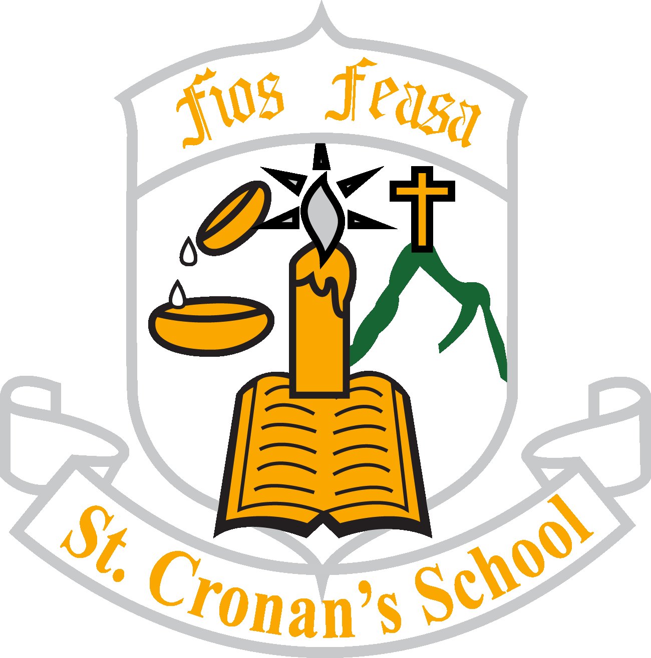 St. Cronan’s Boys N.S Bray