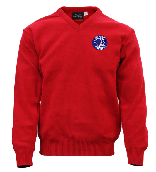 Red V neck Jumper